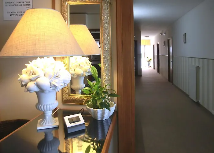 Hotel Carol